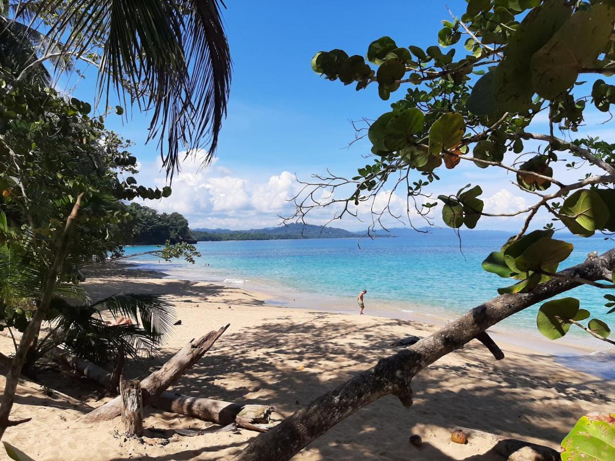 Ocean'S Breeze Apartment And Rooms Puerto Viejo de Talamanca ภายนอก รูปภาพ