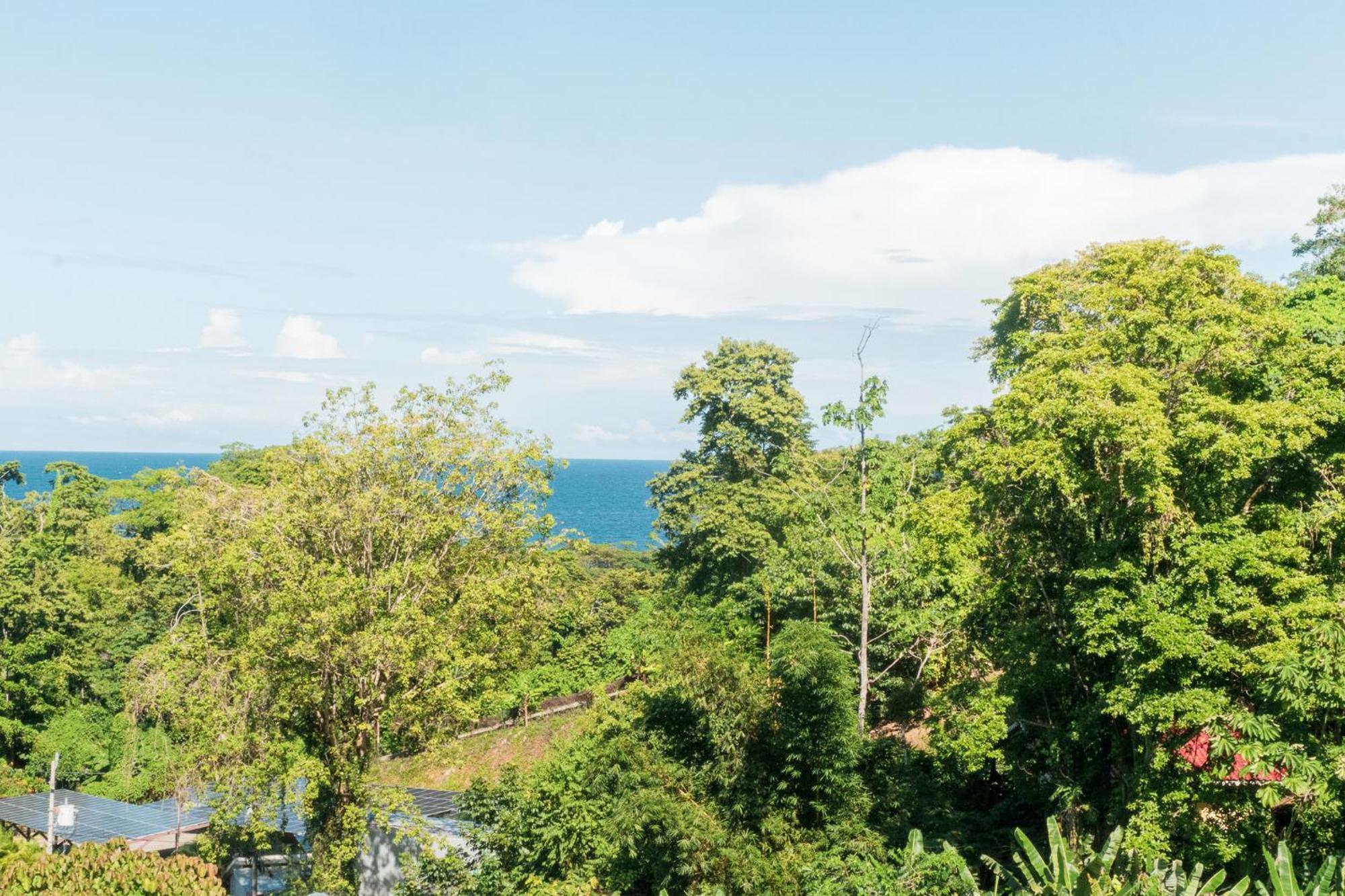 Ocean'S Breeze Apartment And Rooms Puerto Viejo de Talamanca ภายนอก รูปภาพ